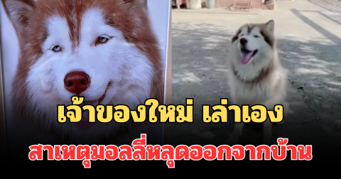 เฉลยแล้ว! เจ้าของใหม่ เล่าเอง สาเหตุน้องมอลลี่หลุดออกจากบ้าน