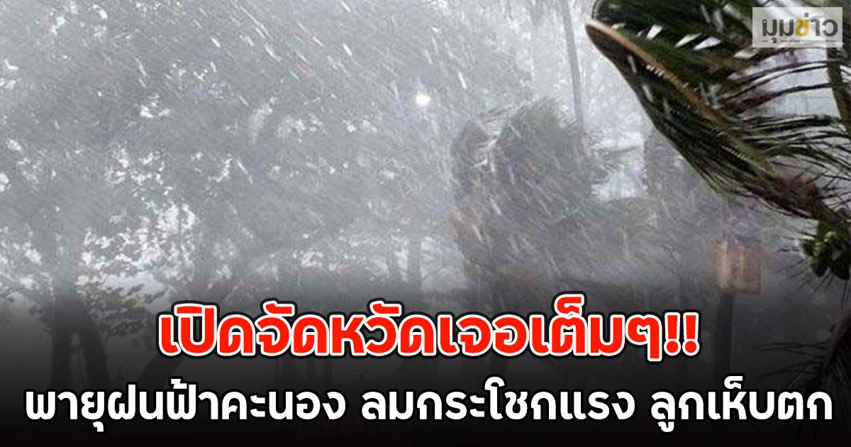 เปิดจัดหวัดเจอเต็มๆ!! พายุฝนฟ้าคะนอง ลมกระโชกแรง ลูกเห็บตก