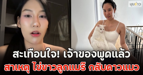 สะเทือนใจ! เจ้าของพูดแล้ว สาเหตุ ไข่ขาวลูกแมร๊ กลับดาวแมว