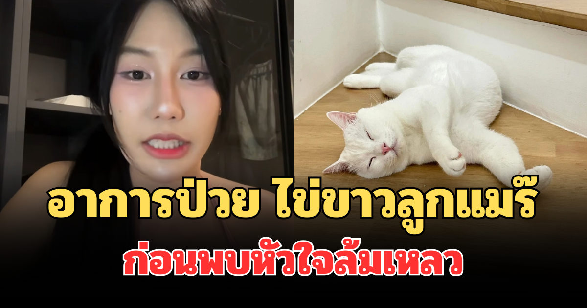 เผยอาการป่วย ไข่ขาวลูกแมร๊ ก่อนพบหัวใจล้มเหลวเฉียบพลัน