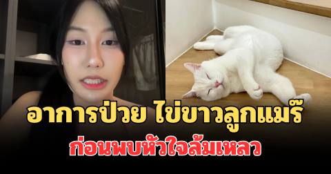 เผยอาการป่วย ไข่ขาวลูกแมร๊ ก่อนพบหัวใจล้มเหลวเฉียบพลัน