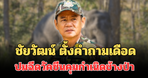 เอาข้อมูลมาจากไหน! ชัยวัฒน์ ตั้งคำถามเดือด ปมฉีดวัคซีนคุมกำเนิดช้างป่า