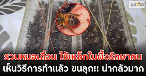 รวบหมอเถื่อน ใช้เหล็กในผึ้งรักษาคน เห็นวิธีการทำแล้ว ขนลุก!! น่ากลัวมาก