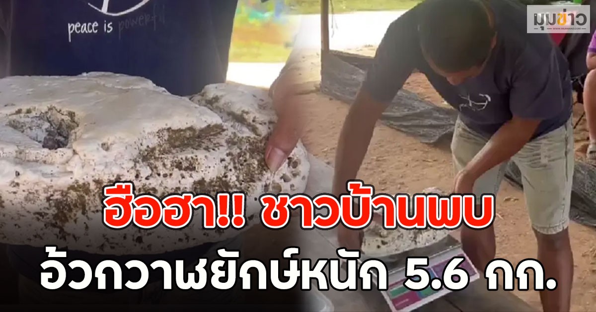 ฮือฮา!! ชาวบ้านพบ อ้วกวาฬยักษ์หนัก 5.6 กก.