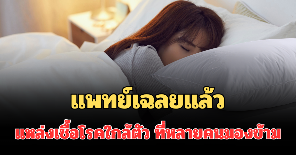ถึงบางอ้อ! แพทย์เฉลยแล้ว แหล่งเชื้อโรคใกล้ตัว ที่หลายคนมองข้าม