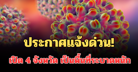 ประกาศแจ้งด่วน! เปิด 4 จังหวัด เป็นพื้นที่ระบาดหนัก โรคตับอักเสบเอ