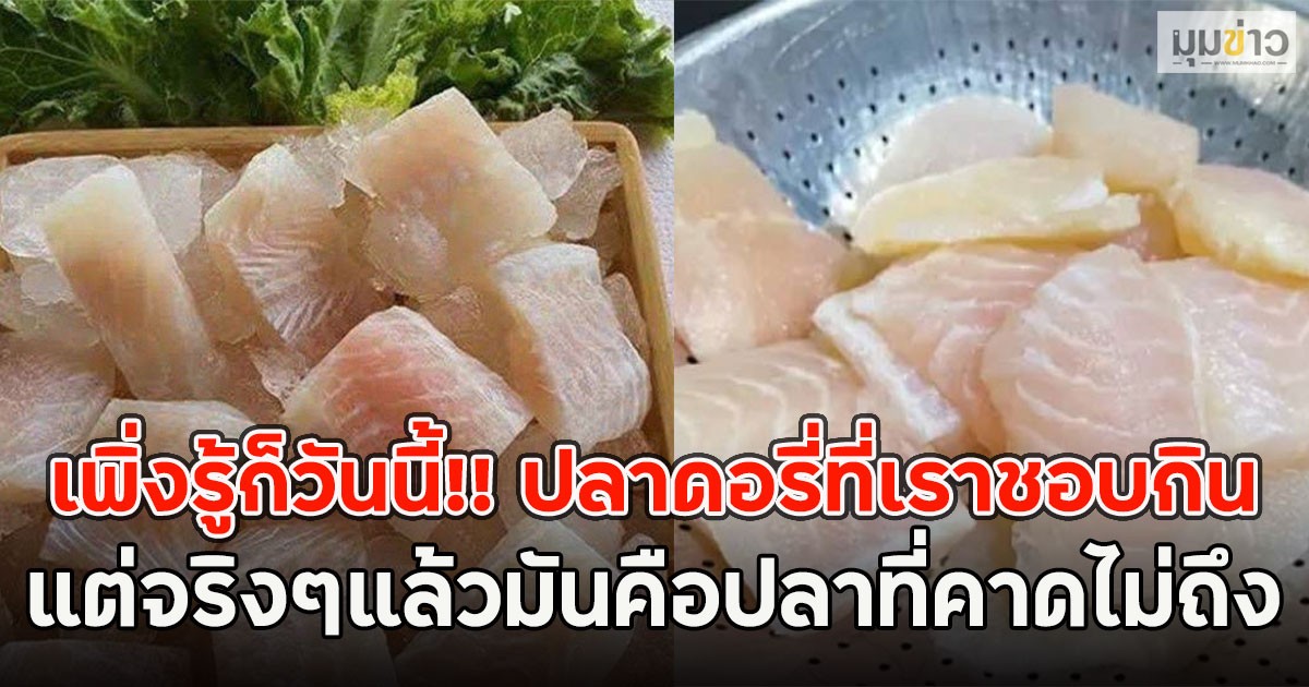 เพิ่งรู้ก็วันนี้!! ปลาดอรี่ที่เราชอบกิน แต่จริงๆแล้วมันคือปลาที่คาดไม่ถึง