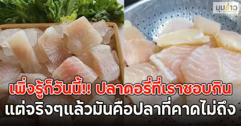 เพิ่งรู้ก็วันนี้!! ปลาดอรี่ที่เราชอบกิน แต่จริงๆแล้วมันคือปลาที่คาดไม่ถึง