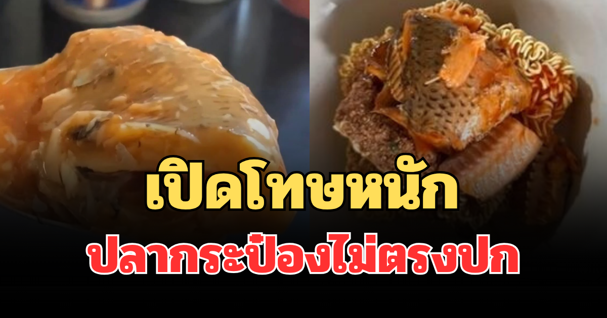 สะเทือนวงการ! เปิดโทษหนัก ปลากระป๋องไม่ตรงปก ใช้ปลานิลแทน