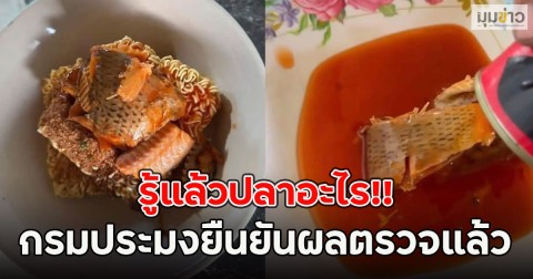 รู้แล้วปลาอะไร!! กรมประมงยืนยันผลตรวจแล้ว ดราม่าปลากระป๋อง