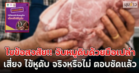 ไขข้อสงสัย!! จับหมูดิบด้วยมือเปล่า เสี่ยง ไข้หูดับ จริงหรือไม่ ตอบชัดแล้ว