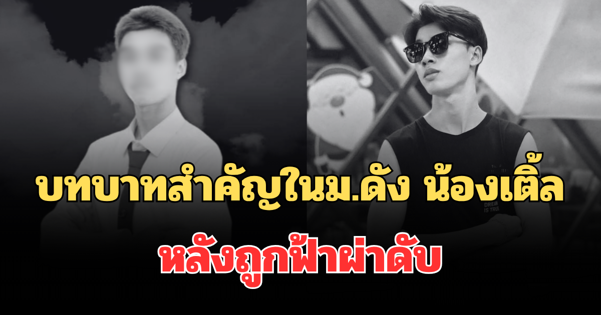 รู้แล้วยิ่งเสียดาย! เผยบทบาทสำคัญในม.ดัง น้องเติ้ล หลังถูกฟ้าผ่าดับ