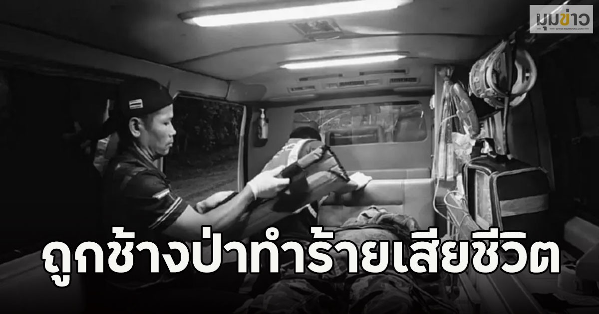 อาลัย!!  นายจิตรภานุ เจ้าหน้าที่พิทักษ์ป่า ถูกช้างป่าทำร้ายเสียชีวิต