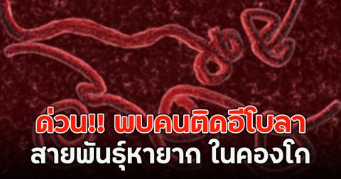 ด่วน!! พบคนติดอีโบลาสายพันธุ์หายาก (ตปท.)