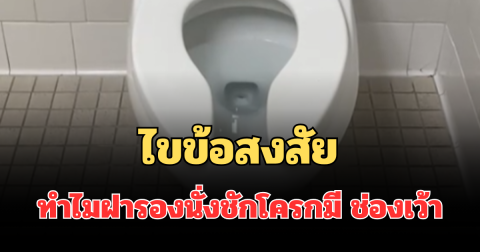 รู้แล้วอ๋อเลย! ไขข้อสงสัย ทำไมฝารองนั่งชักโครกมี ช่องเว้า