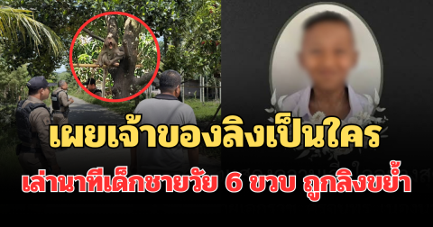 รู้แล้วยิ่งเศร้า! เผยเจ้าของลิงเป็นใคร เล่านาทีเด็กชายวัย 6 ขวบ ถูกลิงขย้ำ