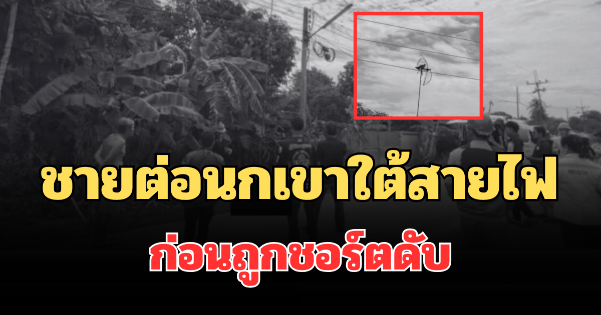 สลด ชายต่อนกเขาใต้สายไฟ อีกคนรีบเข้าช่วย ก่อนถูกชอร์ตดับคู่