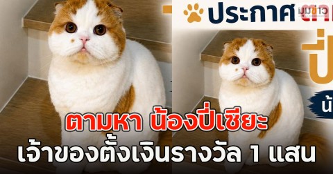 ตามหา น้องปี่เซียะ เจ้าของตั้งเงินรางวัล 1 แสน