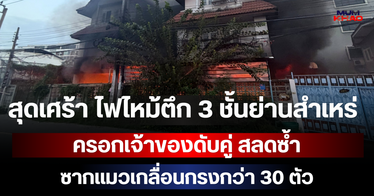 สุดเศร้า ไฟไหม้ตึก 3 ชั้นย่านสำเหร่ ครอกเจ้าของดับคู่ สลดซ้ำซากแมวเกลื่อนกรงกว่า 30 ตัว