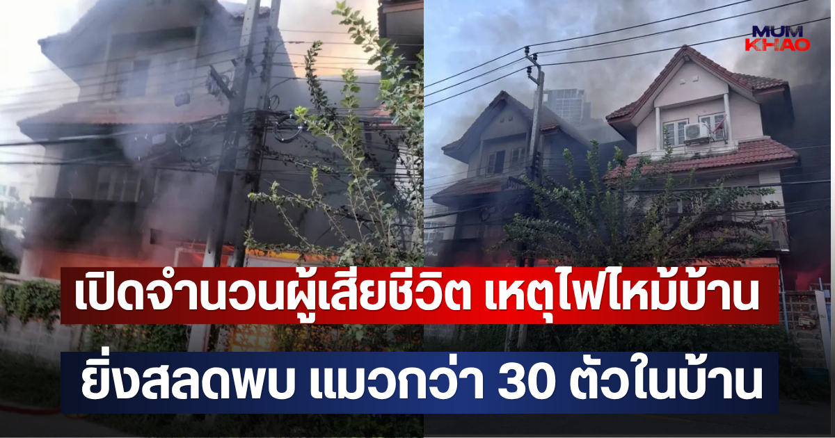 เปิดจำนวนผู้เสียชีวิต เหตุไฟไหม้บ้าน ยิ่งสลดพบ แมวกว่า 30 ตัวในบ้าน