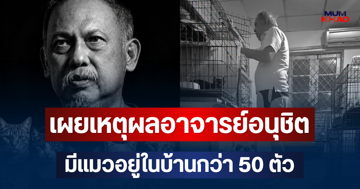 รู้แล้ว! เผยสาเหตุ อาจารย์อนุชิต สุนทรากิติ มีแมวอยู่ในบ้านกว่า 50 ตัว