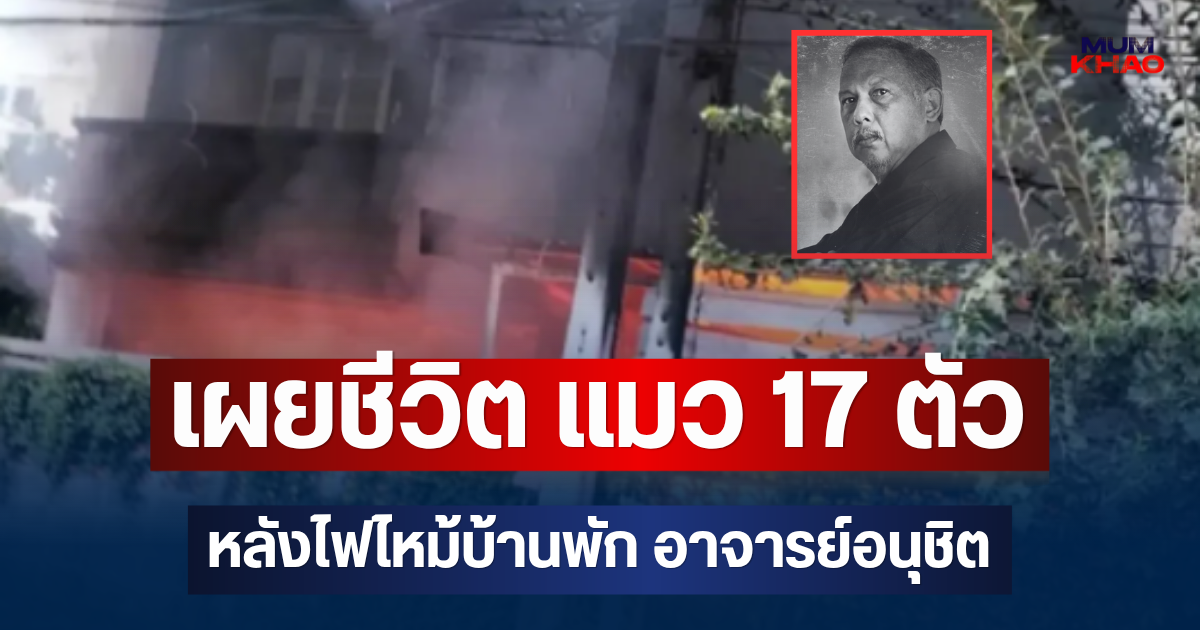 เผยชีวิตล่าสุด แมว 17 ตัว หลังไฟไหม้บ้านพัก อาจารย์อนุชิต