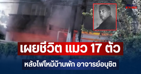 เผยชีวิตล่าสุด แมว 17 ตัว หลังไฟไหม้บ้านพัก อาจารย์อนุชิต