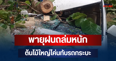 น่ากลัวมาก! พายุฝนถล่มหนัก ต้นไม้ใหญ่โค่นทับรถกระบะ เสียหายพังยับ