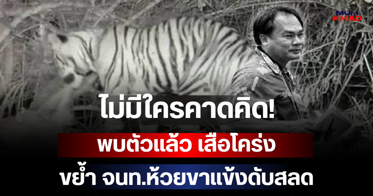 ไม่มีใครคาดคิด! พบตัวแล้ว เสือโคร่งขย้ำ จนท.ห้วยขาแข้งดับสลด