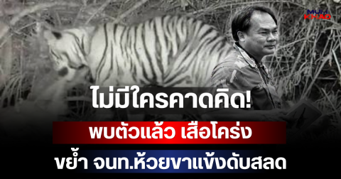 ไม่มีใครคาดคิด! พบตัวแล้ว เสือโคร่งขย้ำ จนท.ห้วยขาแข้งดับสลด
