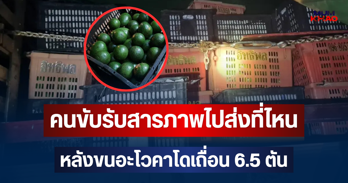 รู้แล้ว! คนขับรถ 6 ล้อ รับสารภาพไปส่งที่ไหน หลังขนอะโวคาโดเถื่อน 6.5 ตัน