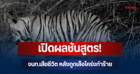 เปิดผลชันสูตร! เหตุ จนท.เสียชีวิต หลังถูกเสือโคร่งทำร้าย