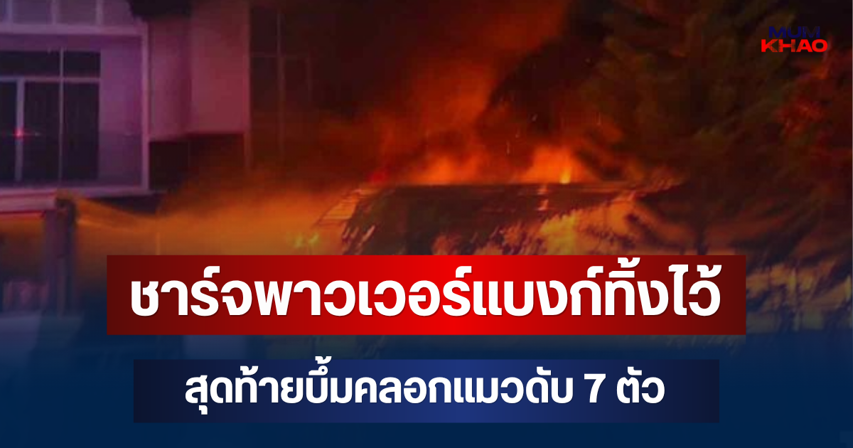 สลด! ชาร์จพาวเวอร์แบงก์ทิ้งไว้ สุดท้ายบึ้มไฟไหม้บ้าน คลอกแมวดับ 7 ตัว