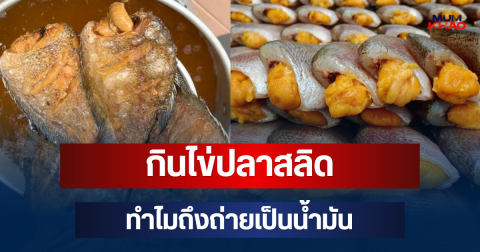 ไขข้อสงสัย! กินไข่ปลาสลิด ทำไมถึงถ่ายเป็นน้ำมัน