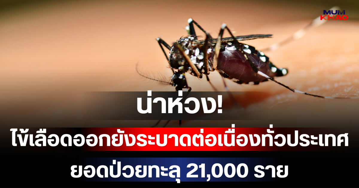 น่าห่วง! ไข้เลือดออกยังระบาดต่อเนื่องทั่วประเทศ ยอดป่วยทะลุ 21,000 ราย