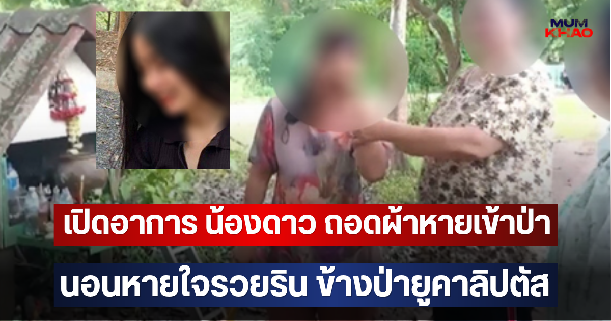 เปิดอาการ น้องดาว ถอดผ้าหายเข้าป่า นอนหายใจรวยริน ข้างป่ายูคาลิปตัส