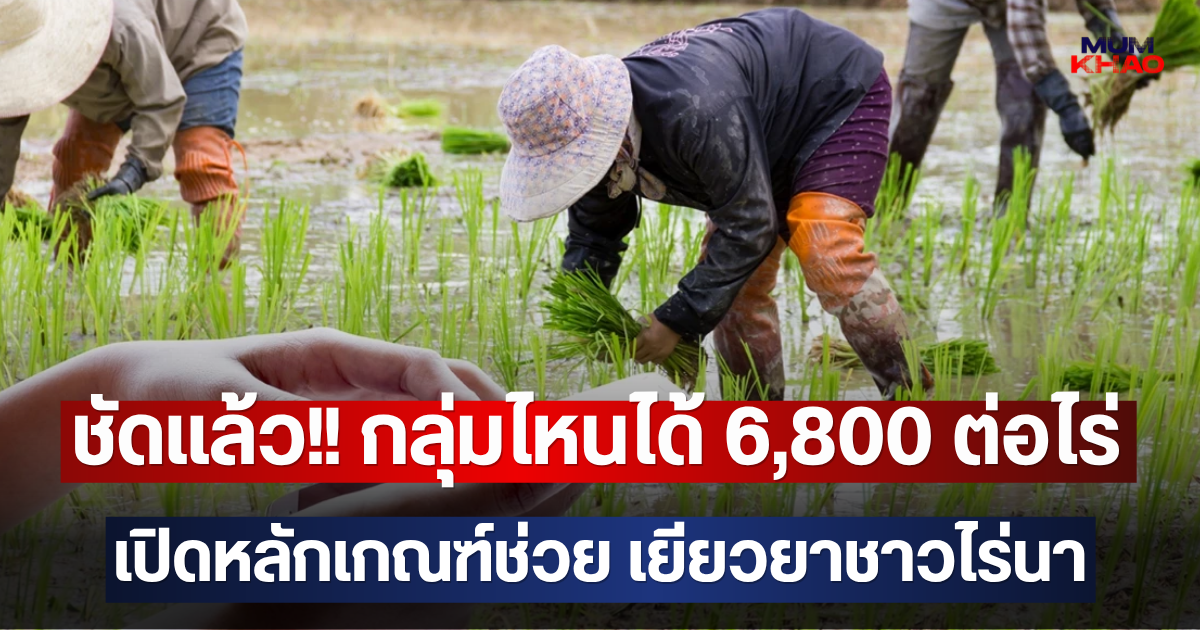 ชัดแล้ว!! กลุ่มไหนได้ 6,800 ต่อไร่ เปิดหลักเกณฑ์ช่วย เยียวยาชาวไร่นา