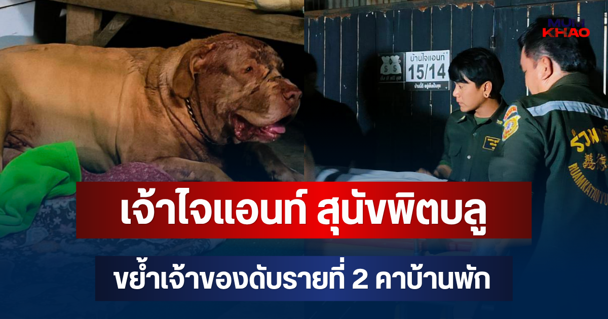 สลด! เจ้าไจแอนท์ สุนัขพิตบลูตัวเดิมขย้ำเจ้าของดับรายที่ 2 คาบ้านพัก