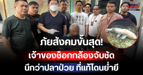 ภัยสังคมขั้นสุด! เจ้าของช็อกกล้องจับชัด นึกว่าปลาป่วย ที่แท้โดนย่ำยี