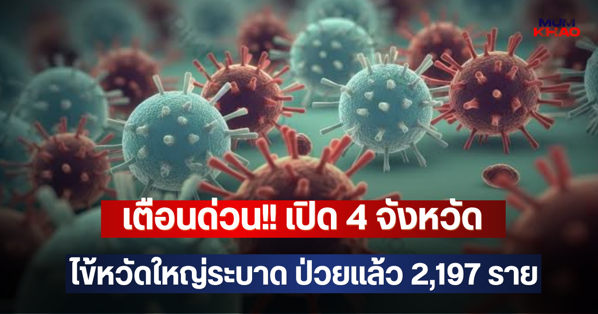 เตือนด่วน!! เปิด 4 จังหวัด ไข้หวัดใหญ่ระบาด ป่วยแล้ว 2,197 ราย