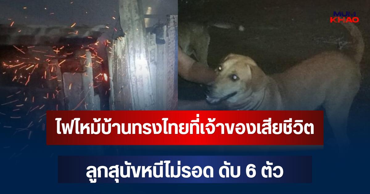 หดหู่มาก! ไฟไหม้บ้านทรงไทยที่เจ้าของเสียชีวิต วอดทั้งหลัง ลูกสุนัขหนีไม่รอด ดับ 6 ตัว