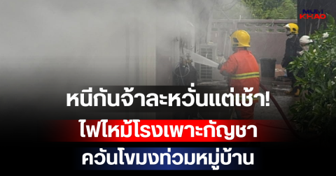 หนีกันจ้าละหวั่นแต่เช้า! ไฟไหม้โรงเพาะกัญชา ควันโขมงท่วมหมู่บ้าน