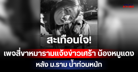 สะเทือนใจ! เพจสี่ขาหมารามแจ้งข่าวเศร้า น้องหมูแดง จมน้ำเสียชีวิต หลัง ม.ราม น้ำท่วมหนัก